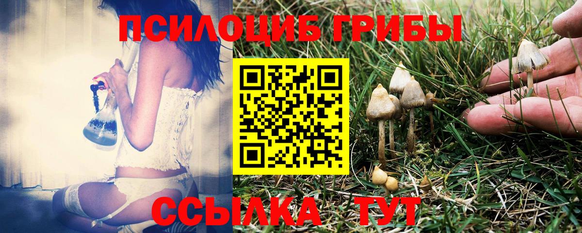 Галлюциногенные грибы ЛСД Канаш