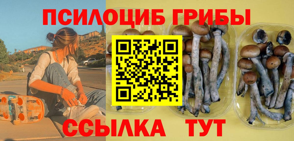 Галлюциногенные грибы мухоморы  Вход с VPN  Канаш  Галлюциногенные грибы GOLDEN TEACHER 