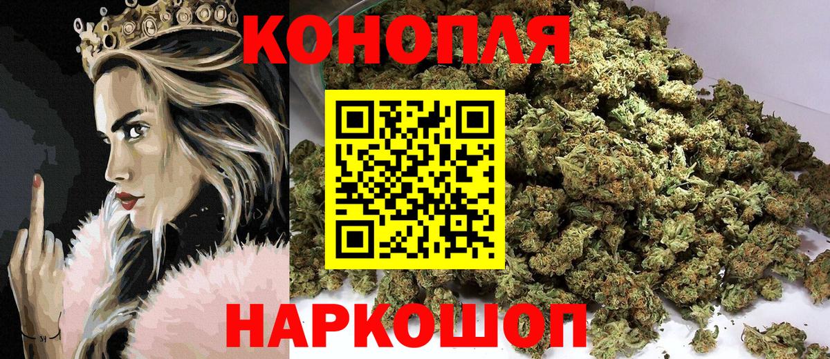 Бошки Шишки семена Канаш